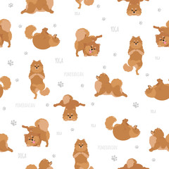 Fototapeta premium Yoga dogs poses and exercises. Pomeranian seamless pattern