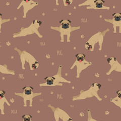 Fototapeta premium Yoga dogs poses and exercises. Pug seamless pattern