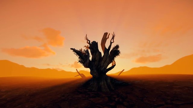 Dead tree in desert against sunset with Black Hawk Helicopters passing