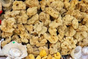 Starfish and sea sponges for sale in a souvenir shop in Gallipoli, Puglia, Italy