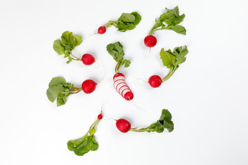 Small red radish on white background