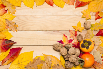 Autumn background, yellow leaves and gifts of autumn, blank background.
