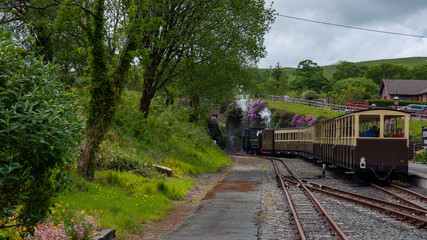Naklejka premium train through the forest 