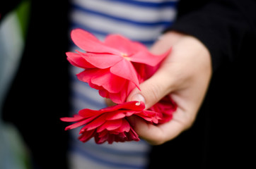 A handful of petals