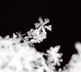 snowflake, little snowflake on the snow