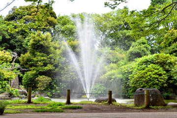 柿田川公園の湧水