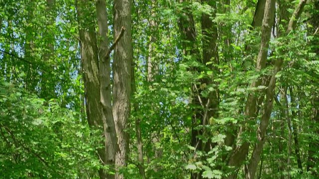 Leben an der Grenze oder K&uuml;r der Wasserl&auml;ufer