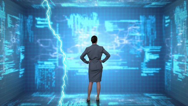Businesswoman and program codes