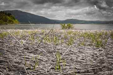 scenic view on beautiful intermittent lake cerknica, with water, spring season, slovenia