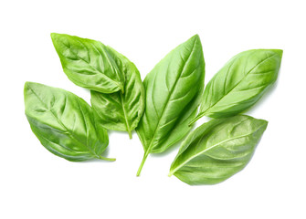 Fresh basil leaves on white background