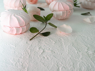 Delicate buds of pink roses and airy marshmallows. Flat Lay. Copy space.