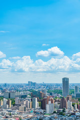 Obraz premium 東京風景 Tokyo city skyline , Japan.