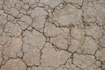 dry cracked earth background