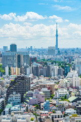東京風景 Tokyo city skyline , Japan.