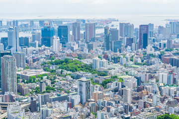 Fototapeta na wymiar 東京の都市風景 Tokyo city skyline , Japan.