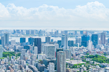 Obraz premium 東京の都市風景 Tokyo city skyline , Japan.