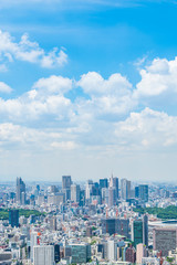 東京の都市風景 Tokyo city skyline , Japan.
