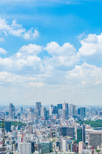 東京の都市風景 Tokyo City Skyline Japan Wall Mural Wallpaper Murals Kurosuke