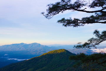 picture Natural scenery of tropical forests