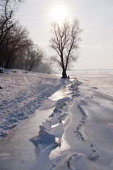 winter beach on the river bank in winter