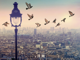 Paris rooftops. Flying pigeons in lightly misty beautiful sky. City  view on sunrise. Window glass with raindrops. Vintage street lamp is on the soft blur foreground 