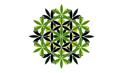 Black and green vector mandala icon