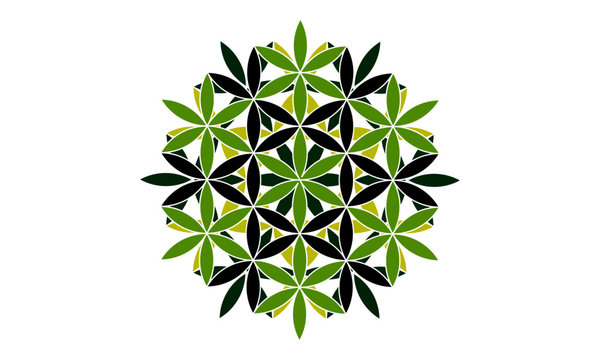 Black and green vector mandala icon