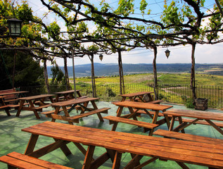 Vine arbor overlooking the agricultural valley and green vineyards. Wooden tables and benches for rest and relax in pavilion. Roses are blooming. Emek Sorek. Judean Hills. Israel 