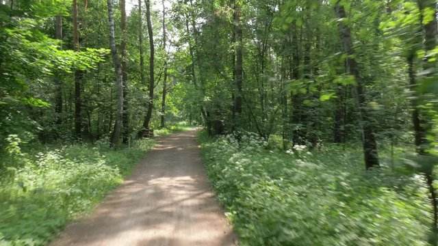 bicycle rides along narrow path past bushy trees in park