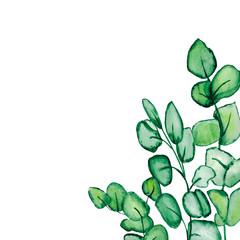 Watercolor hand painted wedding invitation card design template with green leaves of eucalyptus. Illustration for greeting card, floral invitation.