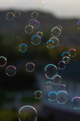 soap bubbles 