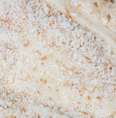White dough as an abstract background