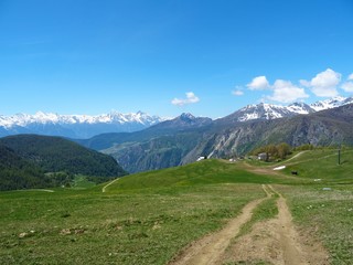 A mountain pasture in the Italian Alps near the village of Chamois, Valle d'aosta, Italy - June 2019.