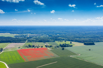 Obraz premium Clouds in blue sky over summer landscape.