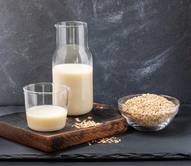 Healthy vegan dairy free oat milk in glass bottle and glass and oat seeds on glass bowl on grey background.  