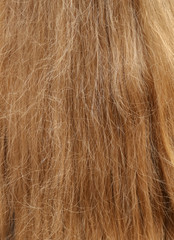 Girl's hair as an abstract background