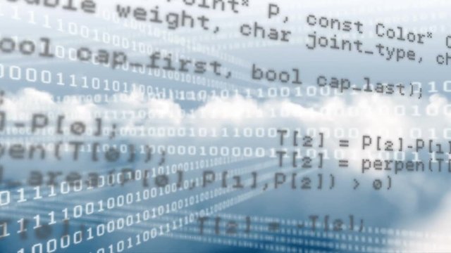 Program and binary codes