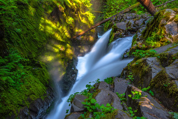 Beautiful Sunrise Hike to Sol Duc Falls in Hoh Rainforest in Olympic National Park, Washington