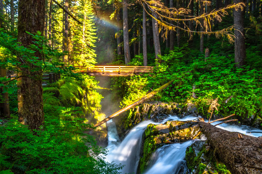 Beautiful Sunrise Hike to Sol Duc Falls in Hoh Rainforest in Olympic National Park, Washington