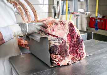 Raw dry aged wagyu porterhouse steak before cut up as closeup at the bench band saw