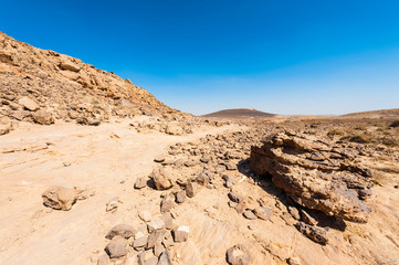 Fototapeta na wymiar Negev Desert in Israel