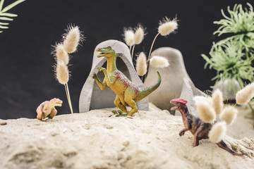 Fototapeta na wymiar selective focus of toy dinosaurs standing near caves and plants on sand dune