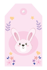 Isolated rabbit cartoon design vector illustration