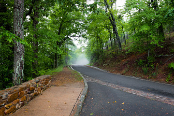 Fototapeta premium Tree lined sidewalk and road leading to an area of fog at the end of the road.