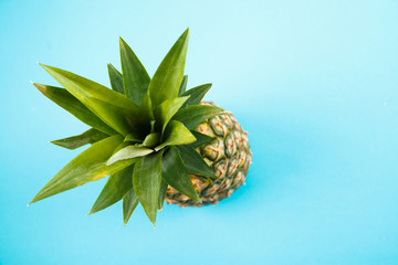 Fresh ripe pineapple on blue background