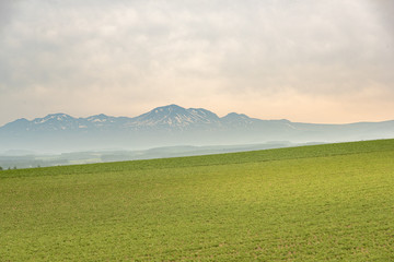 晴れた日の美瑛の丘 / 北海道の観光イメージ