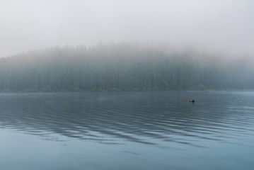 Obraz na płótnie Canvas early morning mountains lake covered in fog 