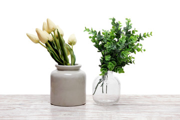 Plants in Vases