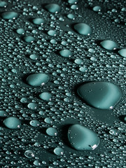 Water drops on green background.