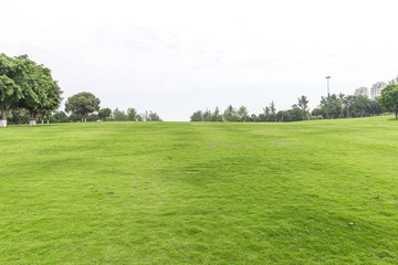 Fototapeta na wymiar Grassland in Chongqing Central Park, with white background